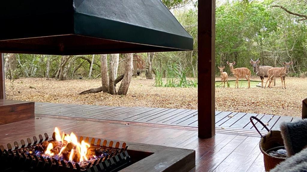 Hideaways Lazuli Bush Lodge, Хлухлуве Экстерьер фото