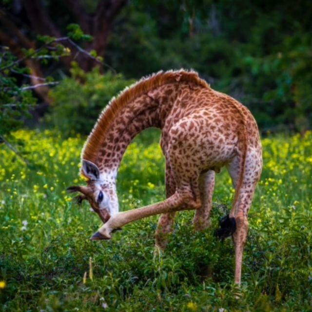 Hideaways Lazuli Bush Lodge, Хлухлуве Экстерьер фото